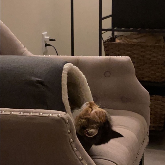 Meet Your Posher, Emma! 🔅 - Picture 6 of 9